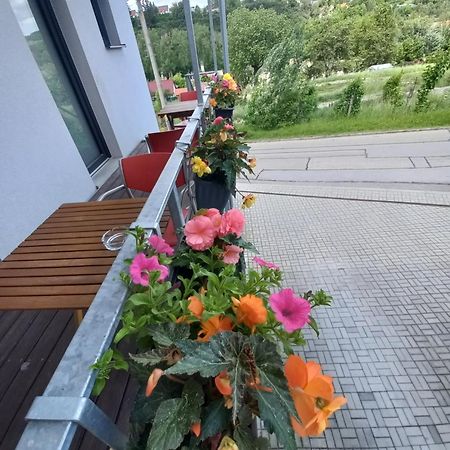 Pension Salma Český Krumlov Exterior foto